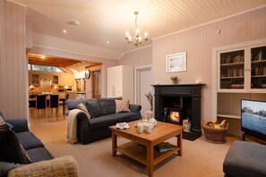 Smart TV, fireplace, books