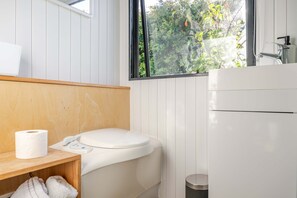 Ducha, secador de pelo y toallas