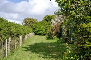 Property grounds - Deloraine Tiny Retreat by Tiny Away (Whangarei)