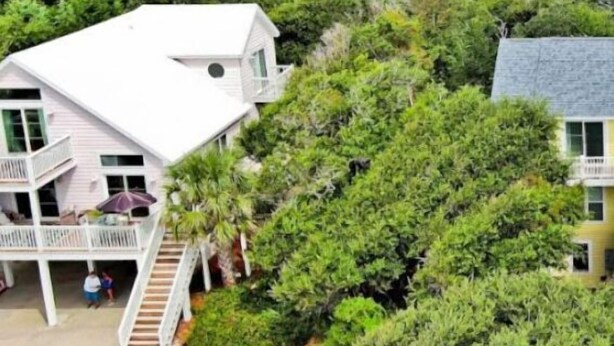 Ein Küstenhaus mit Balkon, umgeben von üppiger Vegetation und Blick auf das Meer.