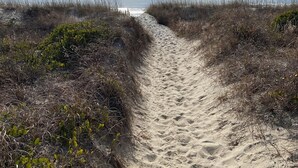 Ein sandiger Küstenpfad, gesäumt von Vegetation, der zum Meer führt.