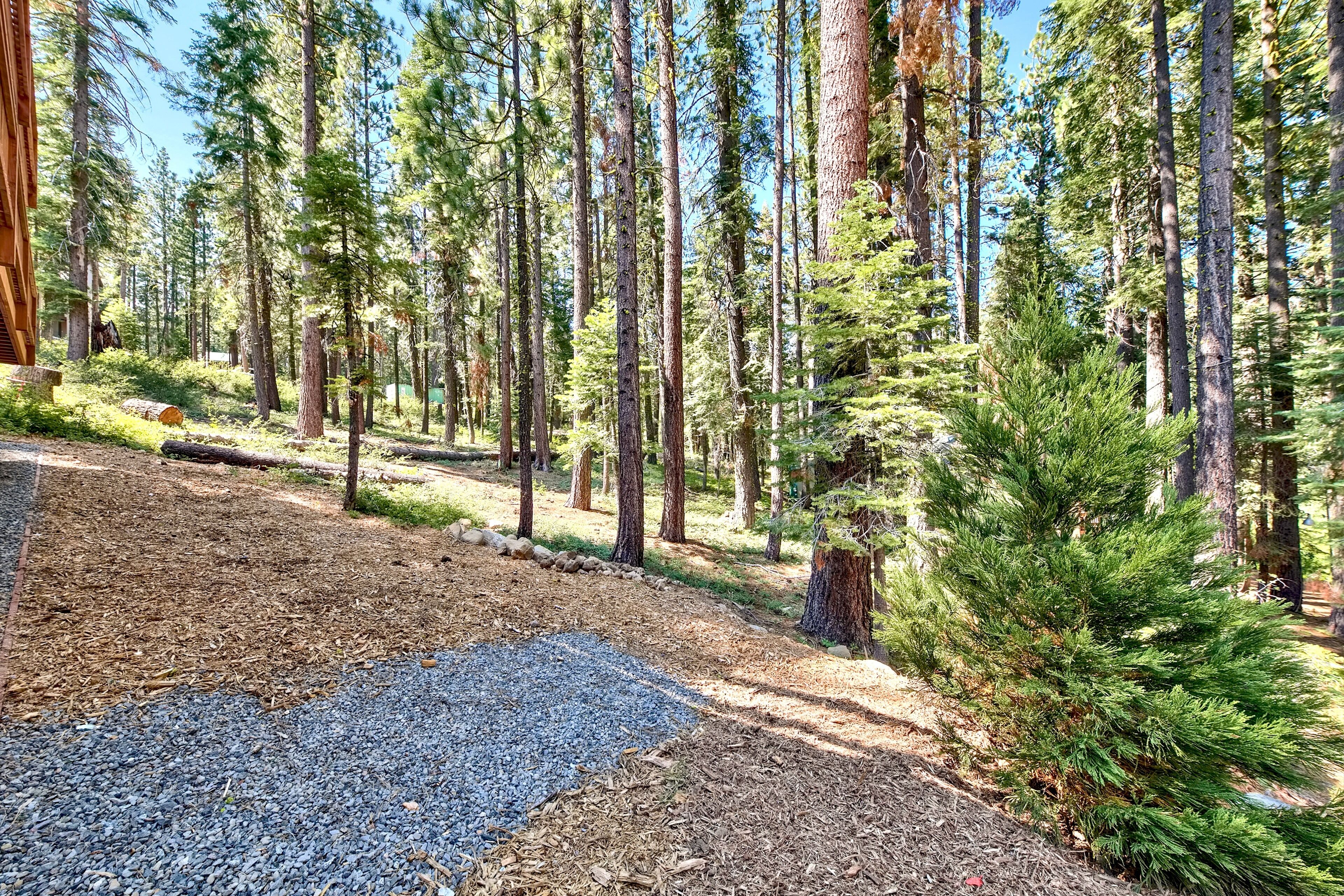 Une zone boisée avec un sentier de gravier et une structure en bois.