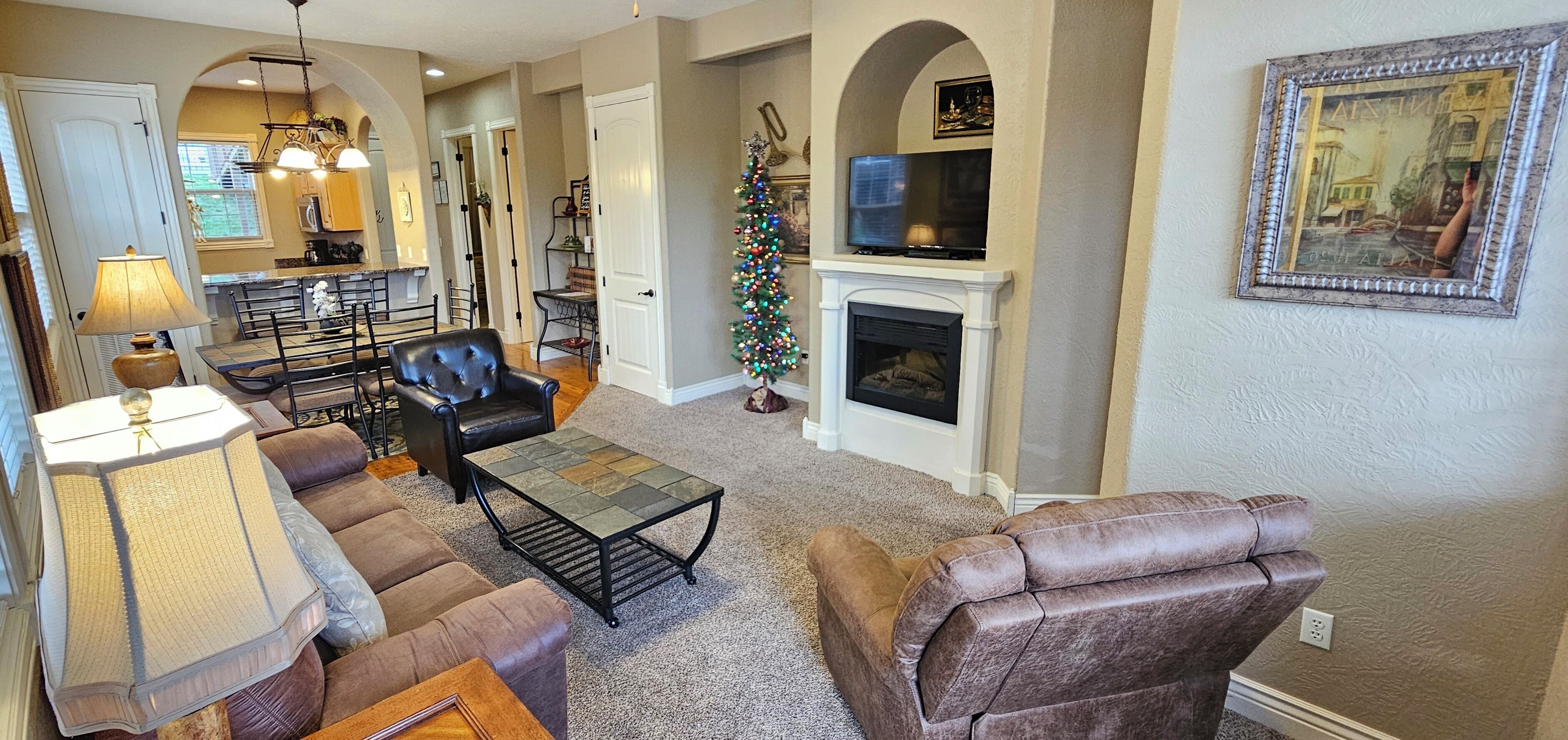 TV connectée, cheminée, lecteur de DVD, livres