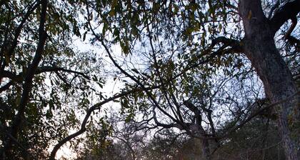 Serondella Safari Lodge