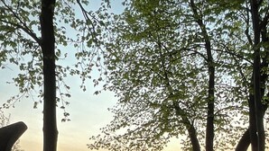 En have med et bassin, træer og udsigt til solnedgang.