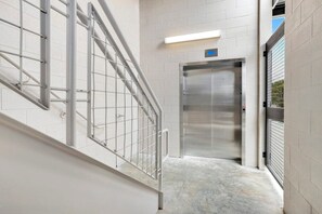 Interior - Tweety Bird - MTB Oasis (Bella Vista)