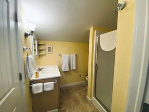 Une salle de bain avec douche, toilettes et lavabo.