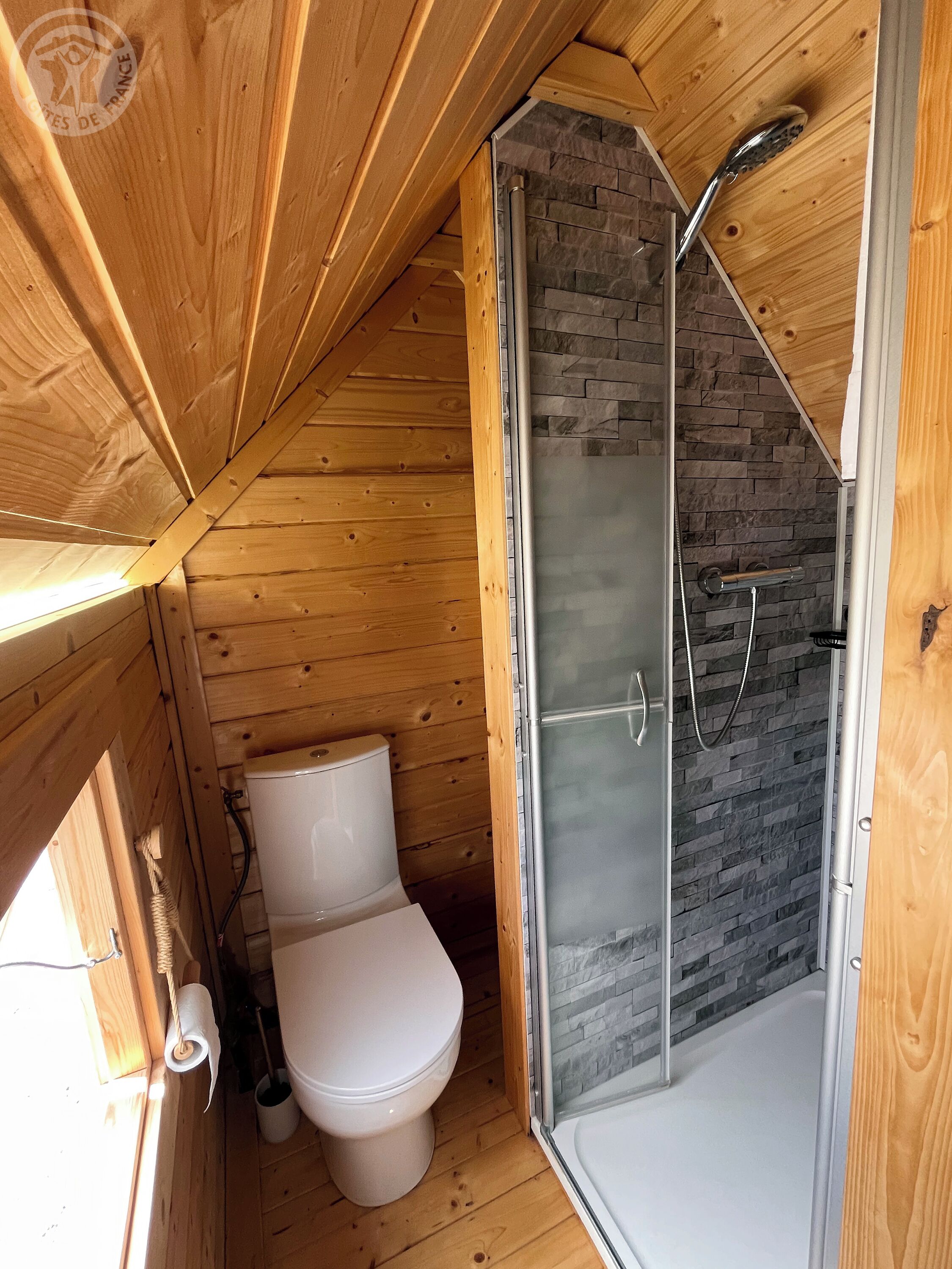 Bagno di una baita in legno con toilette, doccia e parete in pietra.