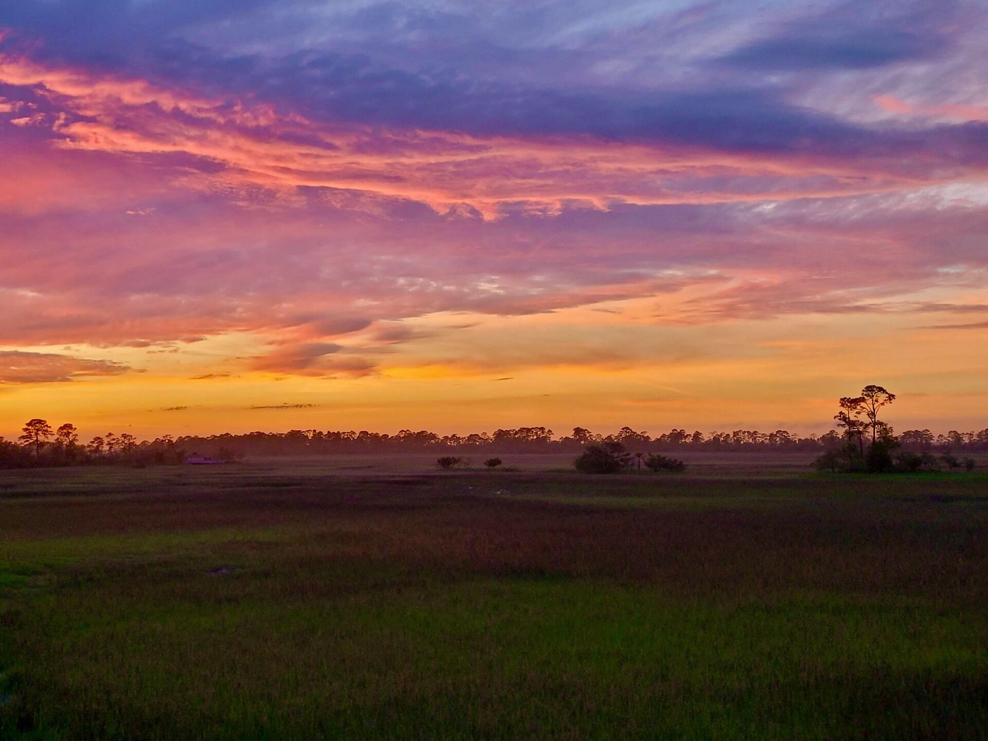 A wide landscape with a flat terrain and a line of trees in the distance.