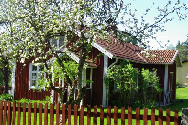 house in spring
