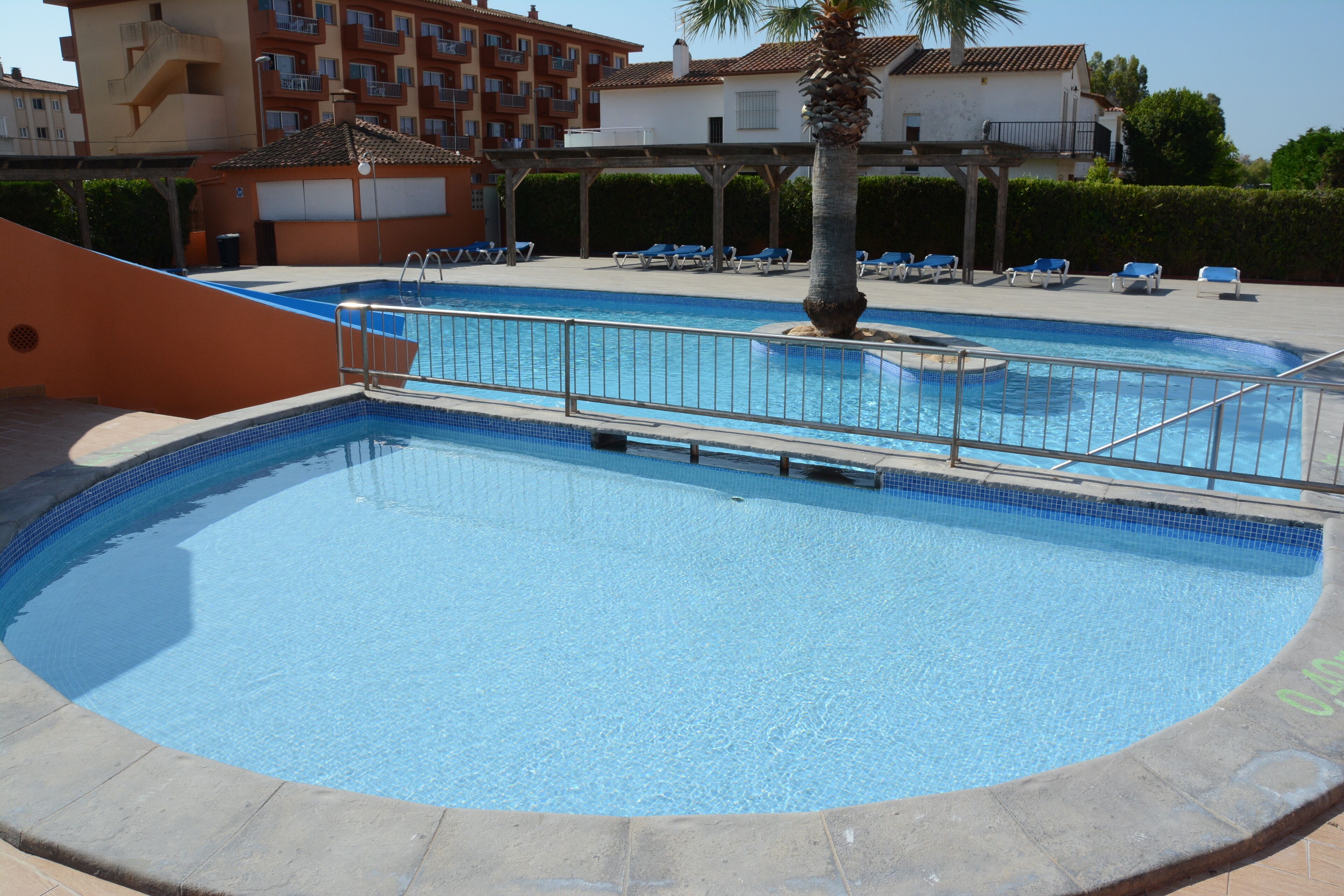 A swimming pool with a tiled edge, surrounded by lounge chairs and a palm tree.