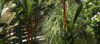 Apartamentos Y Villas Privadas