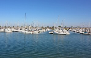 Marina - L'abricôtier - Arcachon (ARCACHON)