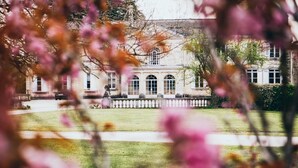 Property grounds - A Zelia - LE Taillan Medoc (LE TAILLAN MEDOC)