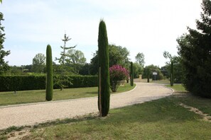 Stroll through the beautifully maintained garden, featuring a tranquil pathway and lush greenery.