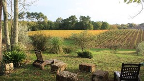 Property grounds - Gite DU Castenet - Samonac (SAMONAC)