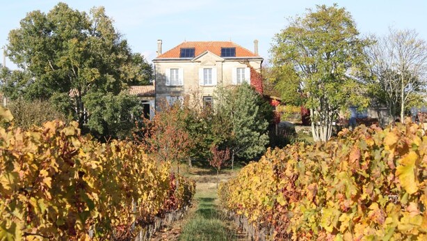 Exterior - Gite DU Castenet - Samonac (SAMONAC)