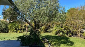 A well-maintained garden with a variety of plants and a large tree in the center. - Aux Lauriers Roses - Hourtin (HOURTIN)