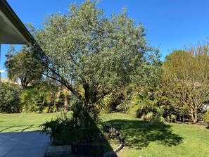 Un giardino curato con diverse piante e un grande albero al centro.