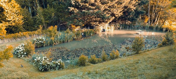 Parco della struttura
