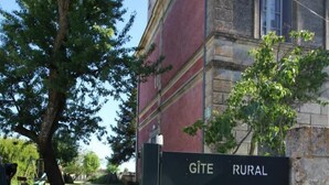 Property grounds - Gite DE Micalet - Cussac-fort-medoc (CUSSAC-FORT-MEDOC)