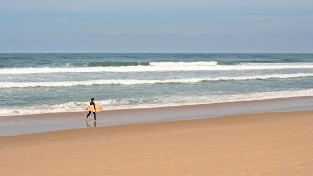 Beach - Gite DE Micalet - Cussac-fort-medoc (CUSSAC-FORT-MEDOC)