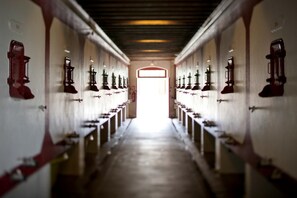 المنشأة من الداخل