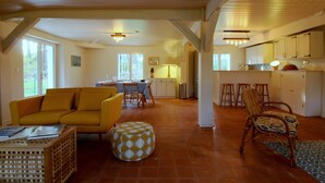 TV, fireplace - L'airial du Résinier (LE TEICH)