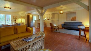 TV, fireplace - L'airial du Résinier (LE TEICH)