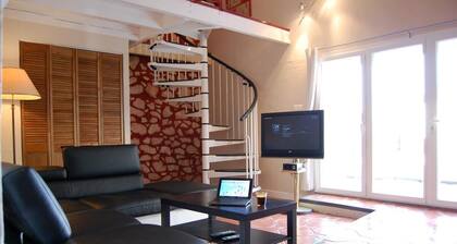 GITE DE BICOT - SAINT-AIGNAN