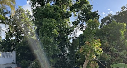 TrĂšs bel appartement neuf et luxueux