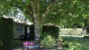 Property grounds - Gite DE LA Grange - Vensac (VENSAC)