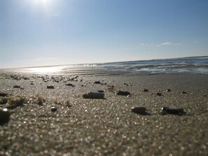 Beach - Gite DE LA Grange - Vensac (VENSAC)