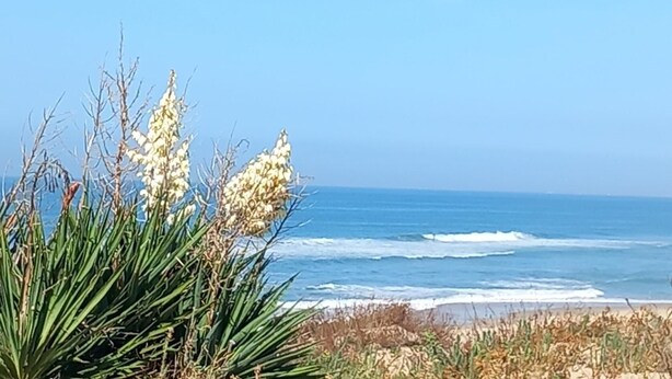 Spiaggia
