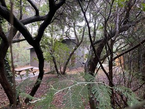 Property grounds - Chalet Zénith - Lege CAP Ferret (LEGE CAP FERRET)