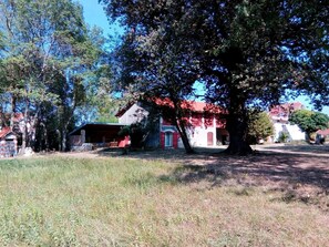 Un paysage rural avec un grand arbre, une grange rouge et un bâtiment blanc doté d’un toit rouge.