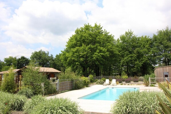 A backyard with a swimming pool, surrounded by lush greenery and a wooden fence.