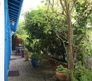 Property grounds - Yoch - Arcachon - City Break (ARCACHON)