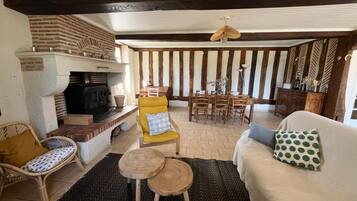 Televisión y chimenea