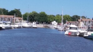 Marina - Gîte des Ecureuils - Lanton (LANTON)