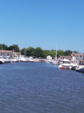 Marina - Gîte des Ecureuils - Lanton (LANTON)