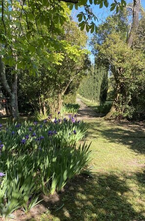 Property grounds - Gite Bellevue - Cubzac-les-ponts (CUBZAC-LES-PONTS)