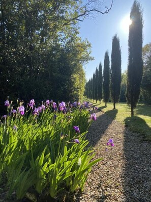 Property grounds - Gite Bellevue - Cubzac-les-ponts (CUBZAC-LES-PONTS)