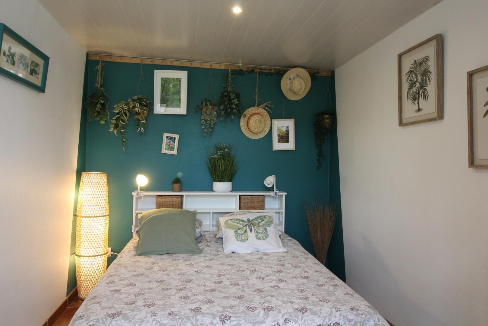 A bedroom with a bed, a bedside lamp, a wall-mounted shelf with plants, and framed pictures.
