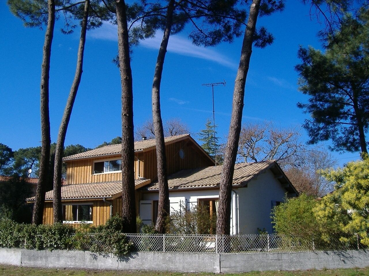 Eksteriør
