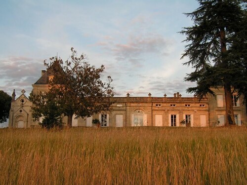 Château Malfard - Petit Verdot