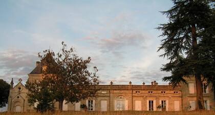 Château Malfard - Petit Verdot