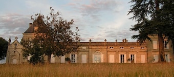 ChĂąteau Malfard - Petit Verdot