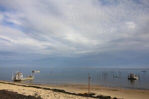 Playa en los alrededores 