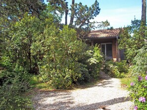 A rustic cabin surrounded by dense foliage and a gravel path.